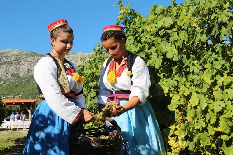 Wine Tour - Pelješac