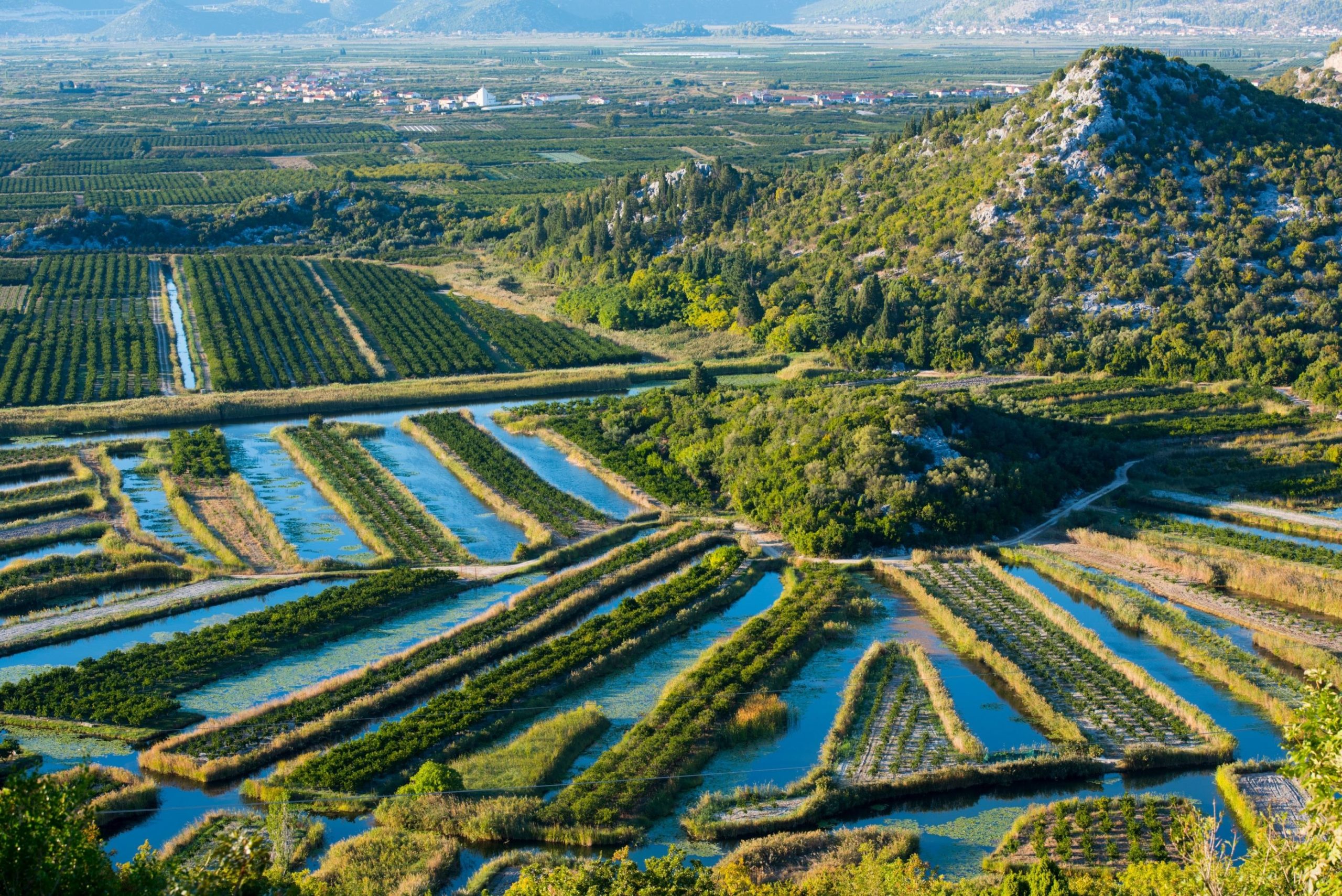 Neretva Delta Photo Safari